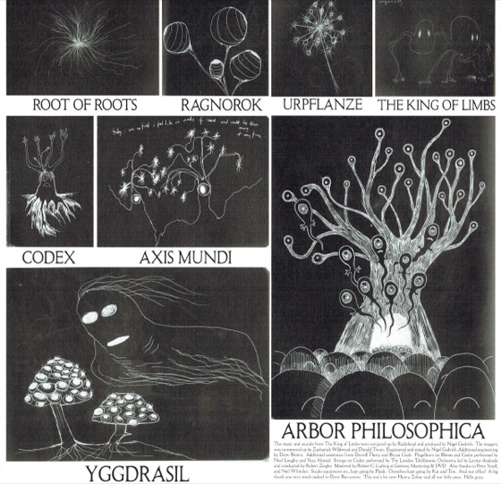 The tree drawings and credits on the inner sleeve, XL vinyl reissue (2016)