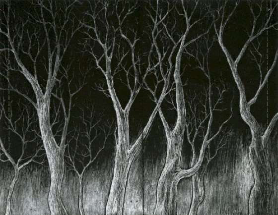 The forest printed under the disc, US CD (2011)