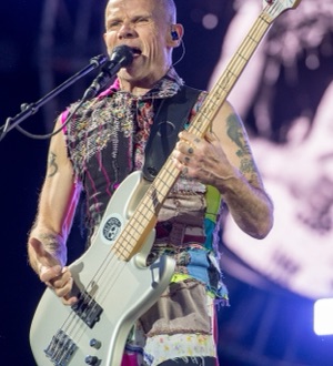 Flea, 2016