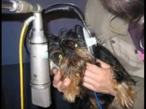Still from Jonny Greenwood- awkward radio interview (2003)