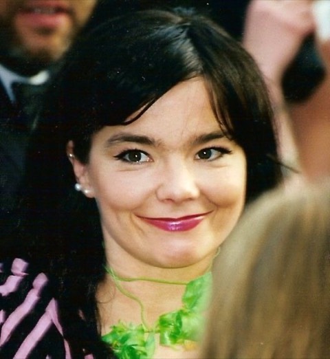 Björk, 2000