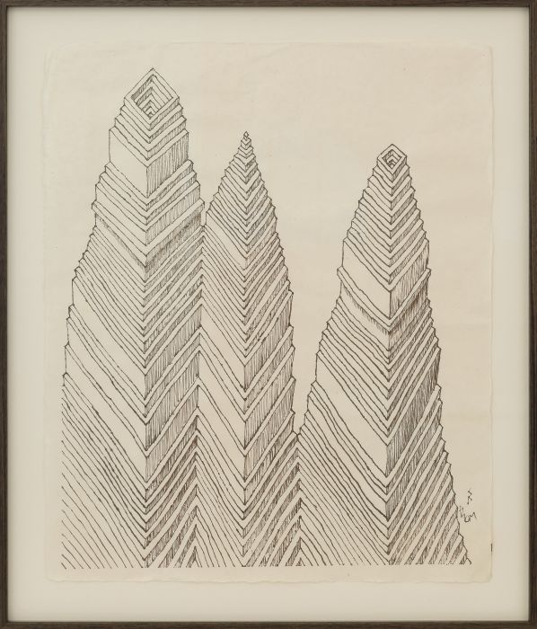 A Permanent Reminder, 2026, walnut ink on mulberry paper, one of the drawings in No Go Elevator (not without no keycard), Venice, framed