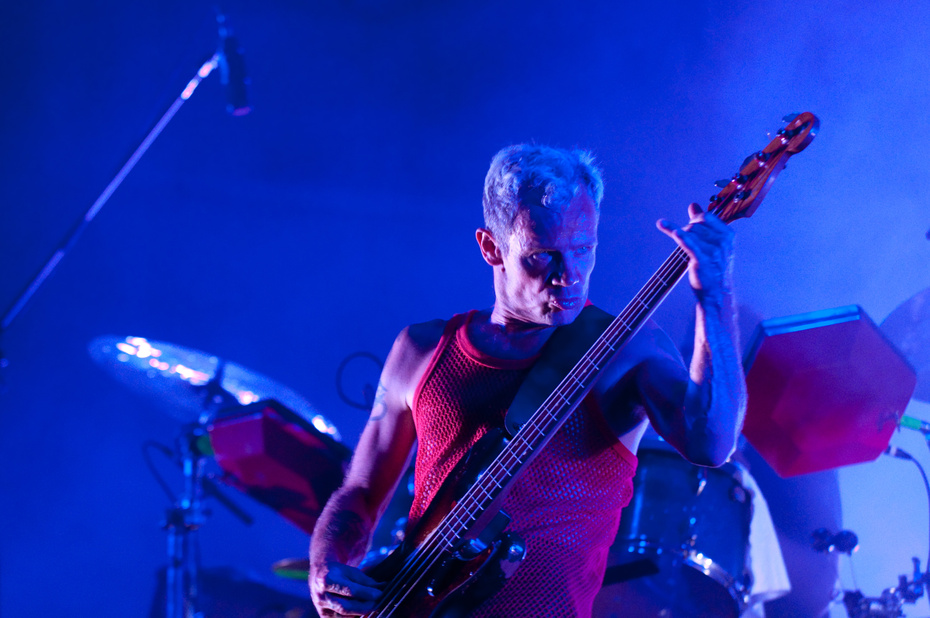 Flea, 31 July 2010