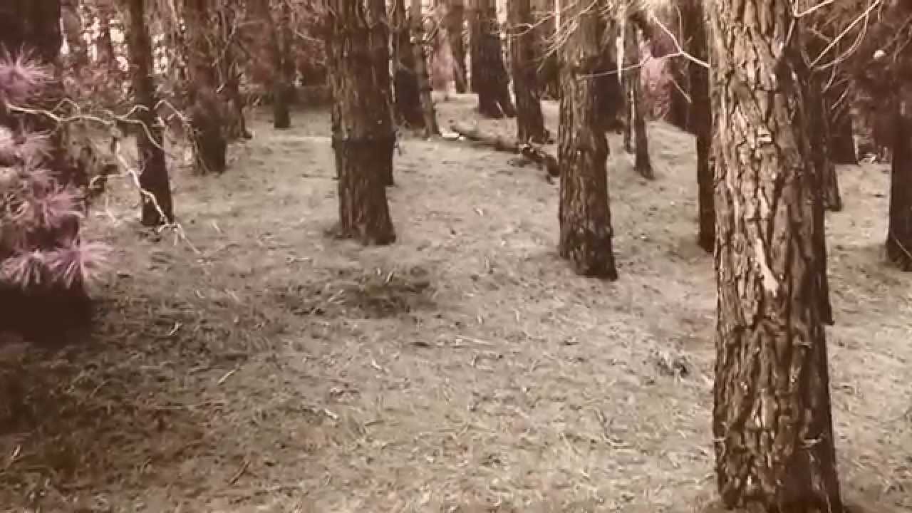 A still from the video: A recording of a song they never released.