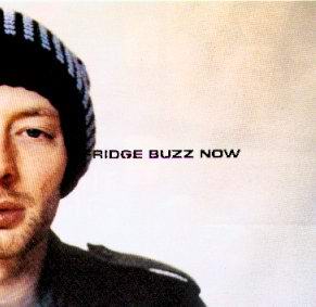 Thom Yorke, Radiohead (photo 476 of 698)